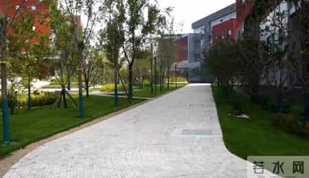 变形记600字,变形记600字可抄免费