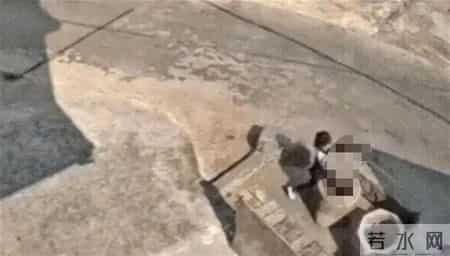 乖乖 文章,乖乖文学