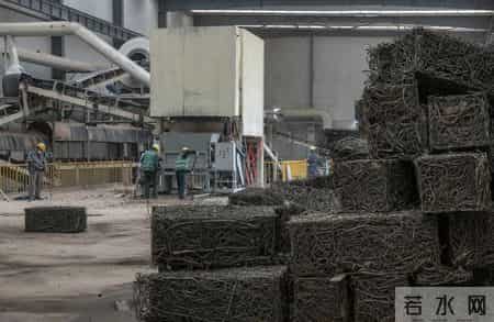 变形记600字,变形记600字可抄免费