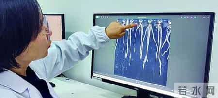 三八妇女节放假通知