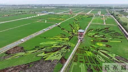 习近平总书记关切事丨幸福花开新农家