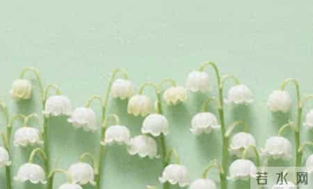 早不说晚不说,聪明人闭口不谈的4句话，糊涂人却逢人就说，难怪越活越“累”！