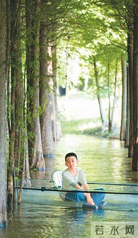 师范生实习总结范文