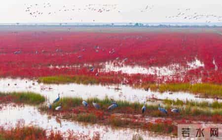 2026“滋味盐城过大年”文旅季启幕！  六百余项活动邀您共度新春