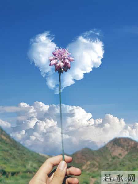 种花让生活更美好,种花让生活更美好作文450字