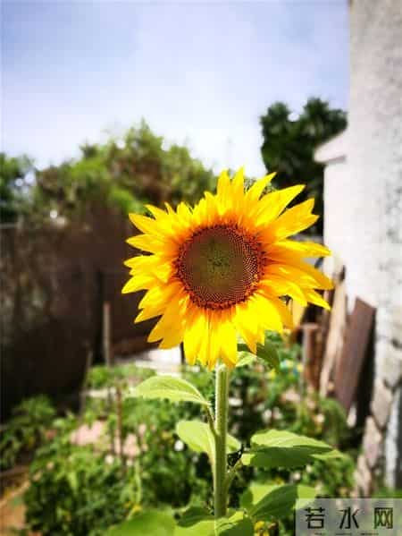 情人节宣传语,情人节宣传语考研