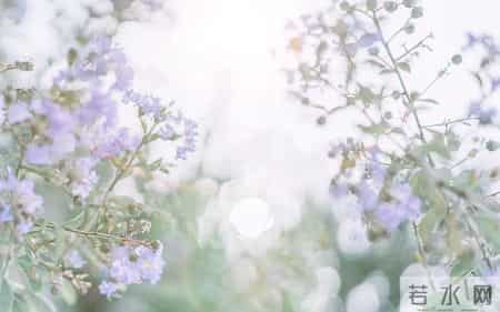 生日感谢词,用高情商的生日感谢语言，传递真挚的祝福