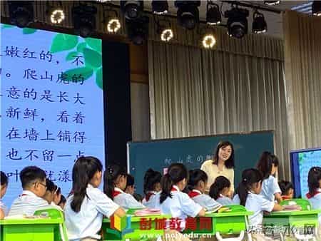 刘集实验小学：兰靖老师研讨课《爬山虎的脚》