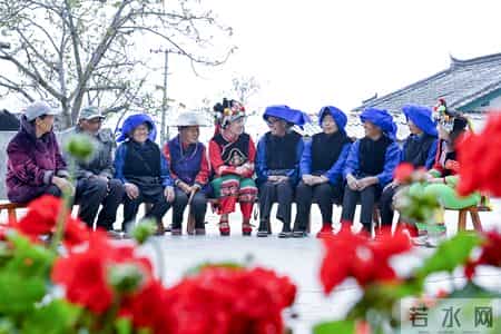 让真情自然流露作文450字左右,我的光影故事2025｜在无量山间，我用镜头读懂乡土中国