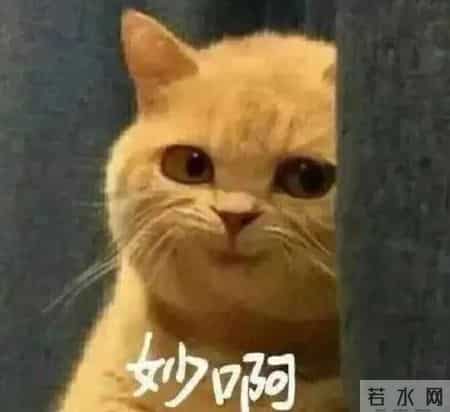 自我介绍模板大学生