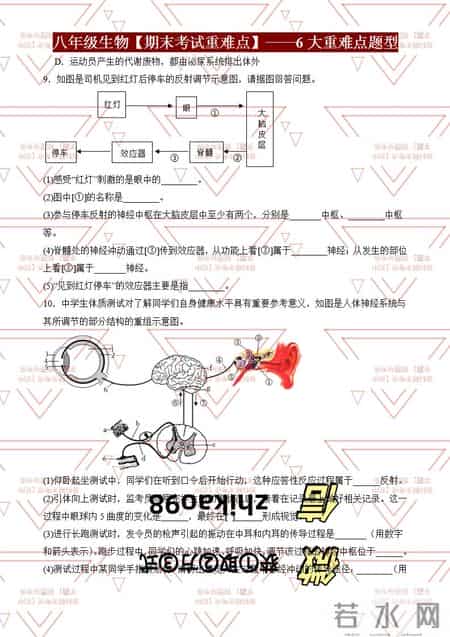 八年级生物,八年级生物寒假作业答案