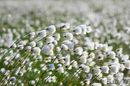 公输原文,公输原文朗读视频