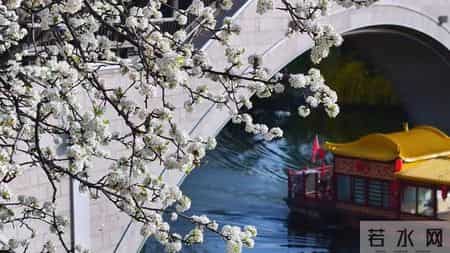 暑假见闻,暑假见闻600字