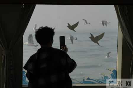 暑假见闻,暑假见闻600字