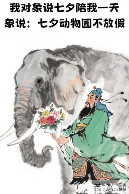 七夕搞笑,“皮到没边的七夕搞笑文案，害我笑了一上午”