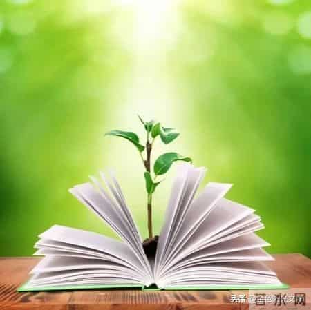 小核桃 yóu动物园 自我介绍