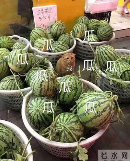 客房部经理年终总结