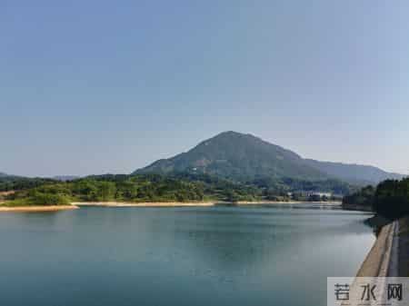 一朵芙蓉顶上栽,一朵芙蓉顶上栽什么意思