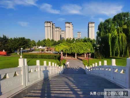 四年级下册语文第四单元《我的动物朋友》高分作文3篇+评语