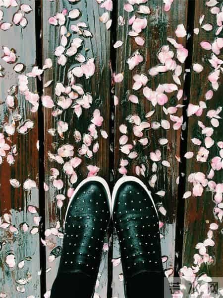 美句美段摘抄大全,美句,美段