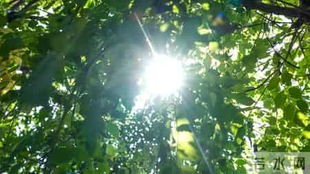 儿童节｜让童心在岁月中绽放