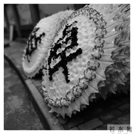 陶老师,陶老师工作站