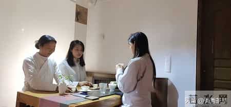 绿茶茶艺表演解说词,绿茶茶艺表演讲解词