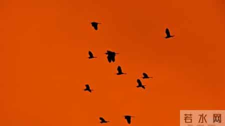 感悟人生的名言,人生感悟的最佳句子，金玉良言，一句顶十句