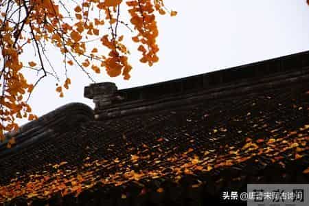 8首寒衣诗词：唯爱与温暖，不可辜负