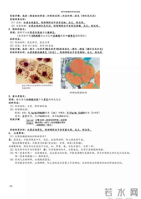 高中生物教学总结