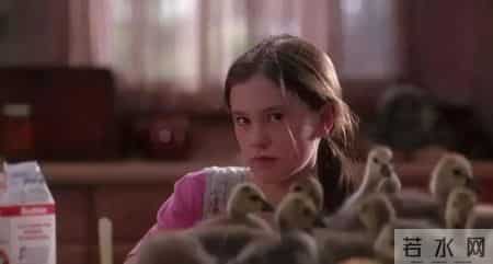 综合实践课,综合实践活动课程