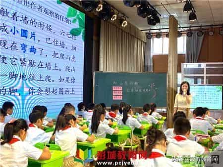 刘集实验小学：兰靖老师研讨课《爬山虎的脚》
