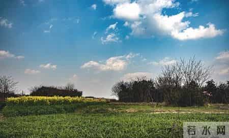恭喜！2026年你家孩子迎良缘，日子越来越红火