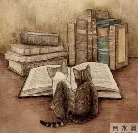 优秀作文开头,12个精妙绝伦的满分作文开头