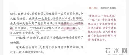 经历 作文,我的成长经历作文