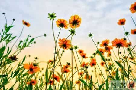 人生，是一场醒悟