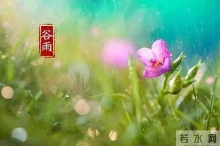 谷雨最美一首诗,雨生百谷，带你邂逅最美的谷雨诗词
