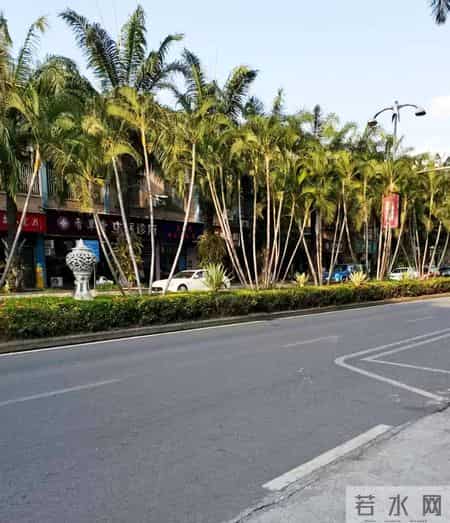 美丽的西双版纳作文,美丽的西双版纳作文400野象谷