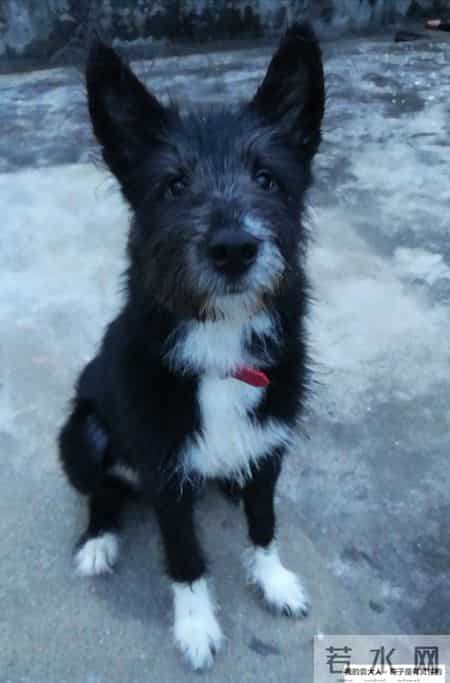 空间主人寄语,空间主人寄语怎么写