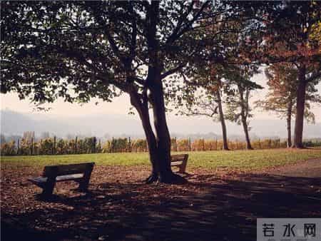 中学生励志散文,励志正能量美文，读一读让你的心灵平静，品一品让生活充满美好