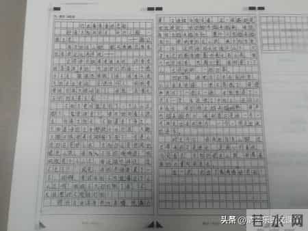 那一刻我的世界春暖花开作文600字