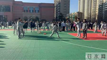 体育教学工作总结