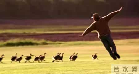 综合实践课,综合实践活动课程