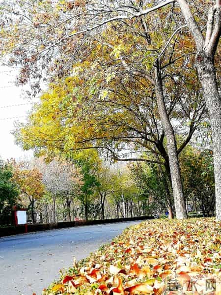 立冬的诗词七言绝句