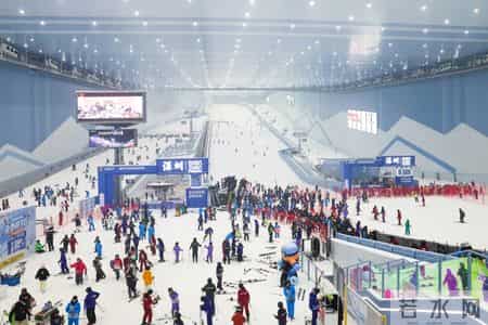 雪一化就有路了阅读答案,雪一化就有路了 阅读答案