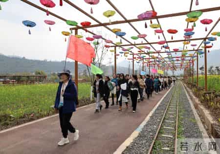 三八节活动方案