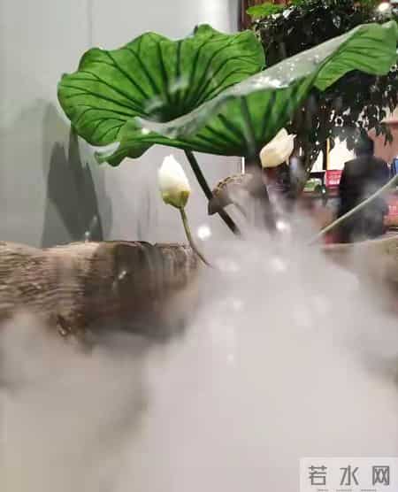 有一种爱叫做放手作文