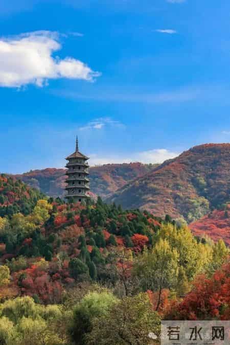 散文 - 怀念母亲