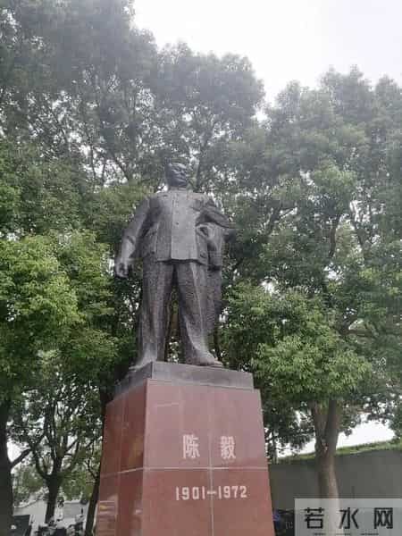 青松挺且直——陈毅元帅《青松》诗赏析