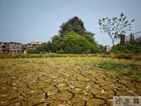 广西同时出现干旱和洪涝？专家分析→